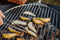 Höfats Triple Grille 55 pour grillades 